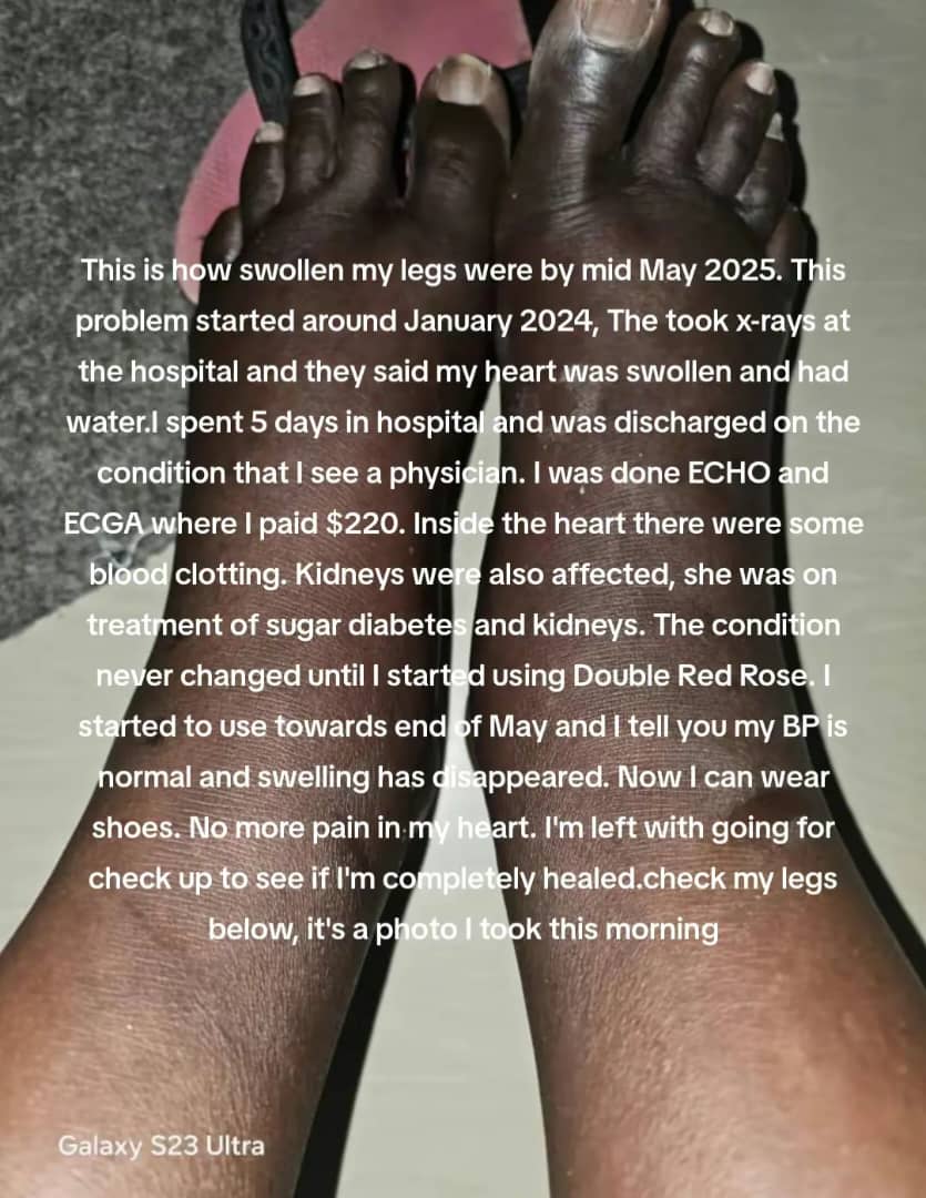 WhatsApp Image 2025-11-23 at 15.15.24